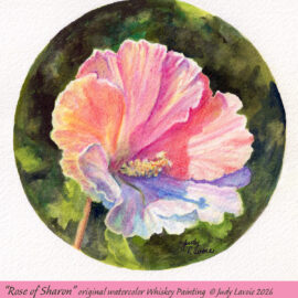 "Rose of Sharon" blog image
