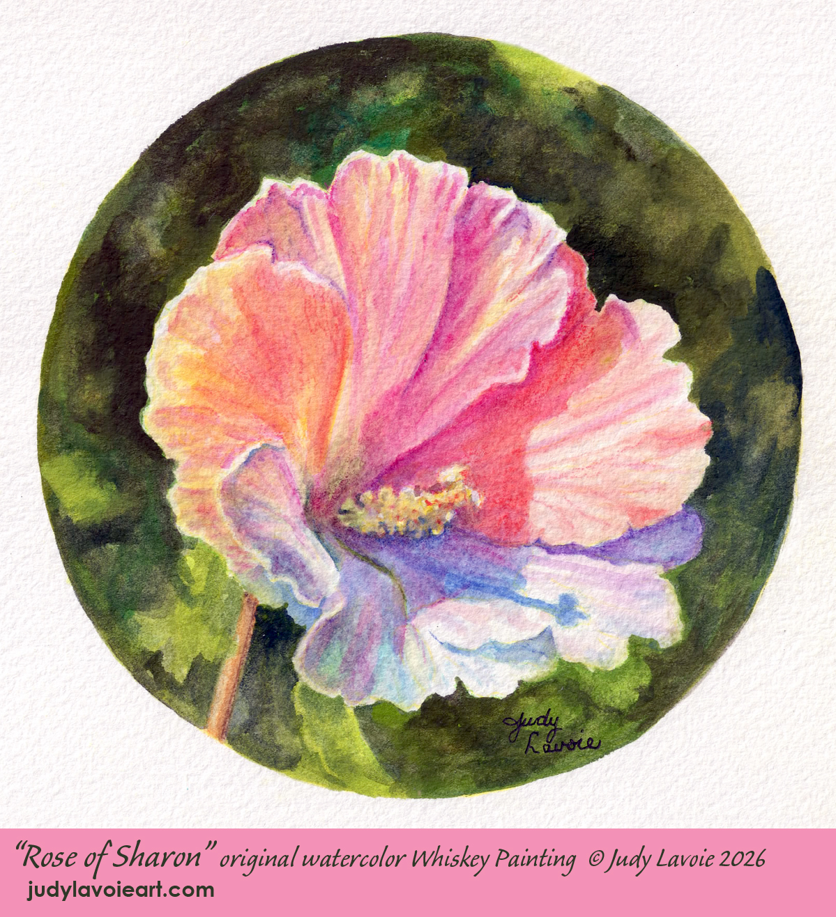 "Rose of Sharon" blog image