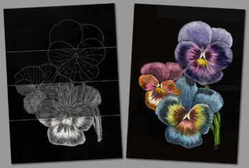 Pansy "How-To" Scratchboards by Judy Lavoie