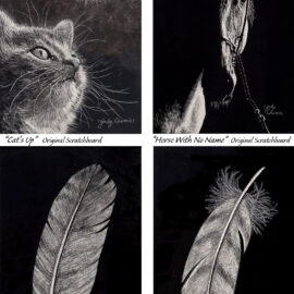 Four small scratchboards © Judy Lavoie 2024