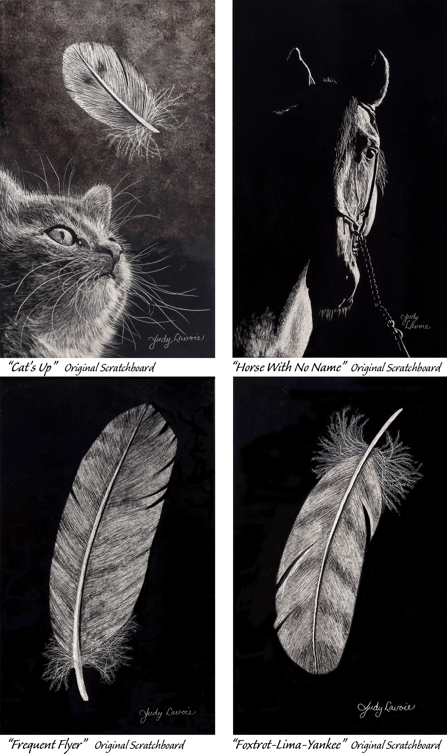 Four small scratchboards © Judy Lavoie 2024