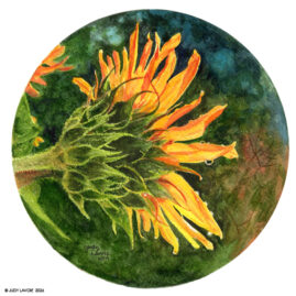 "Sunflower" original watercolor whiskey painting © Judy Lavoie 2026