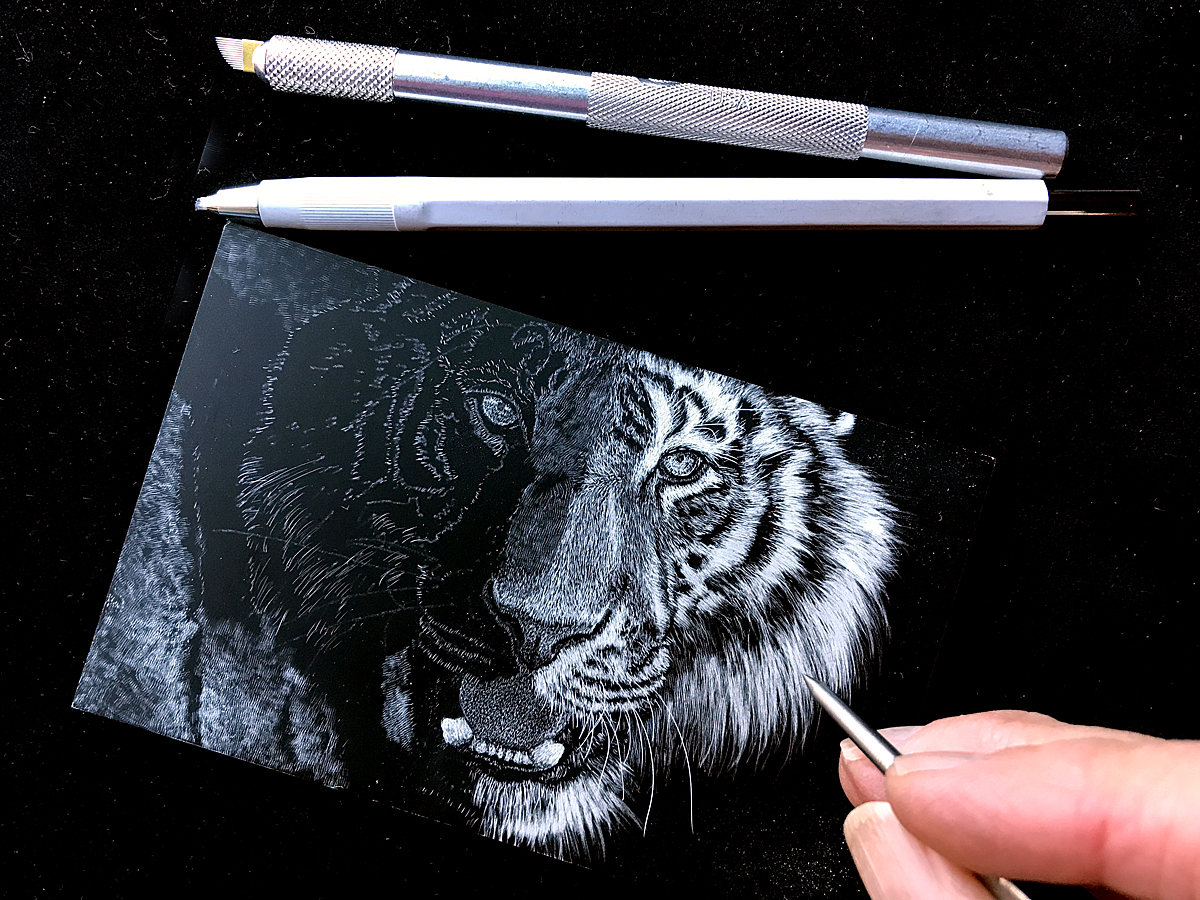 "Tiger" in process © Judy Lavoie