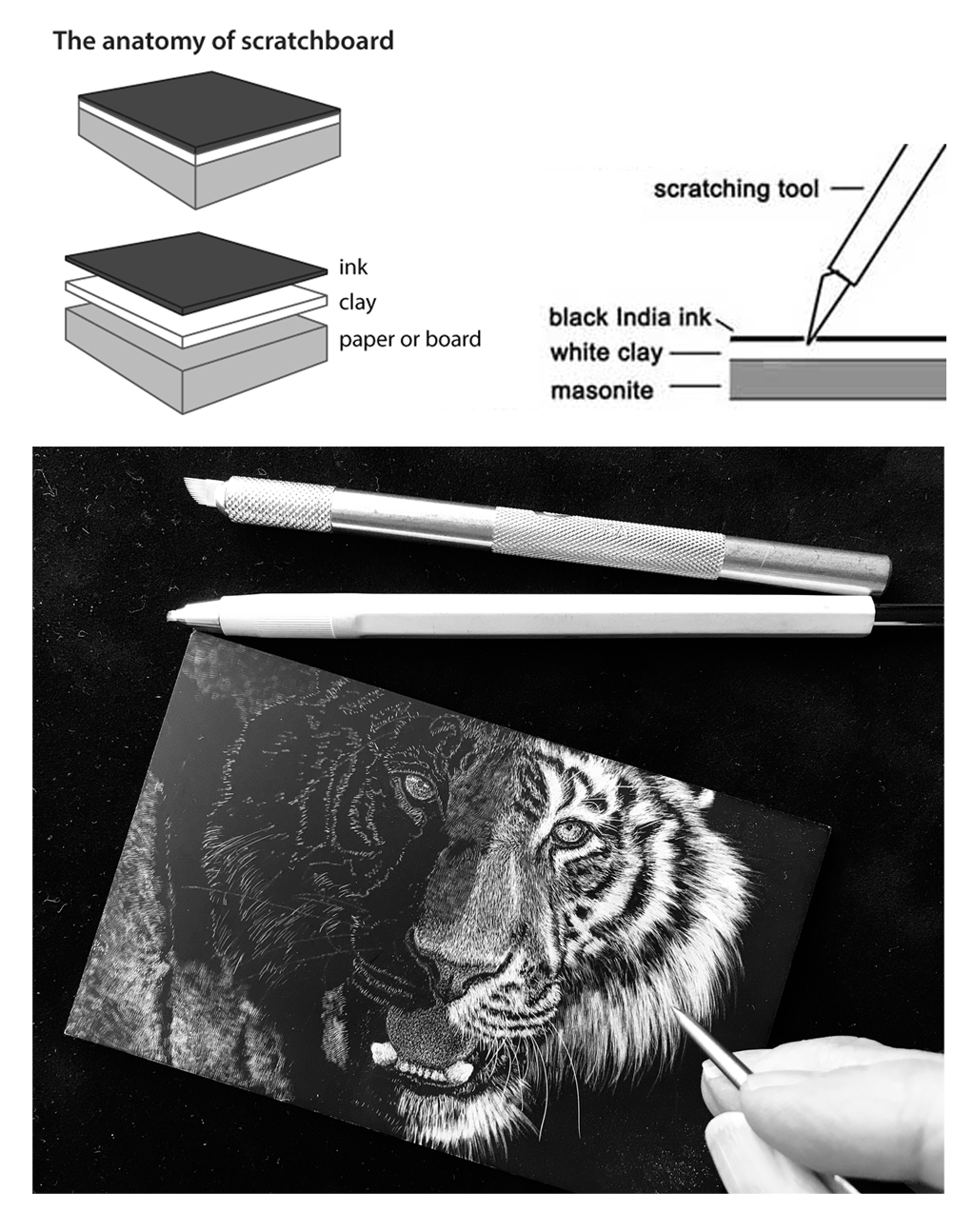 illustations for what is scratchboard?