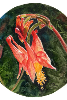 "Wild Columbine" original watercolor whiskey painting © Judy Lavoie 2026