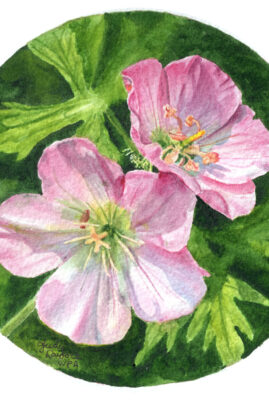 "Wild Geraniums" original watercolor whiskey painting © Judy Lavoie 2026