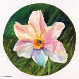 "Narcissus" original watercolor whiskey painting © Judy Lavoie 2026
