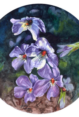 "Wild Violets" original watercolor whiskey painting © Judy Lavoie 2026