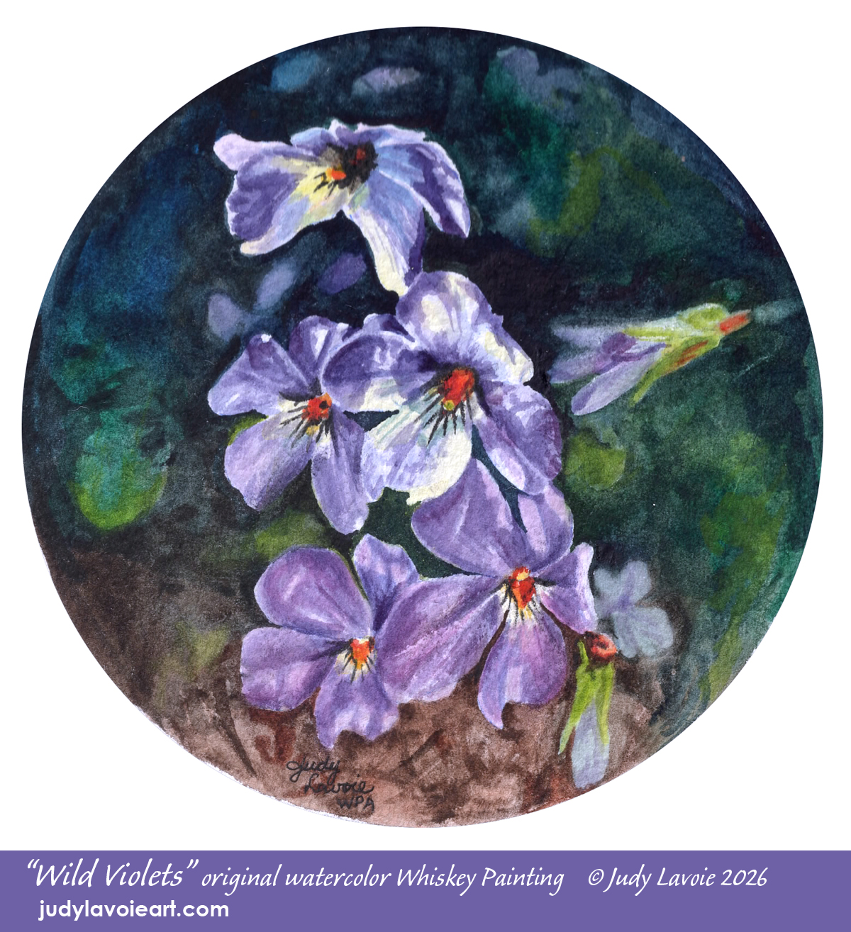 "Wild Violets" original watercolor whiskey painting © Judy Lavoie 2026