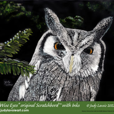 "WIse Eyes" an original Scratchbord™ with Inks © Judy Lavoie 2022